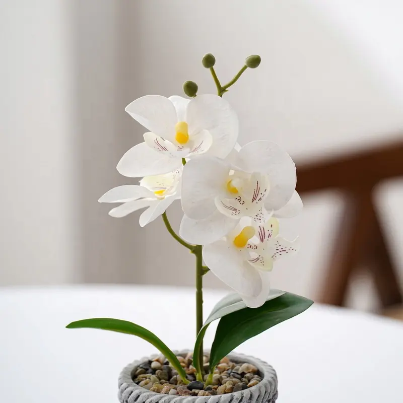 Orquídeas artificiales de imitación para decoración del hogar, maceta de cemento con arreglo de flores, Phalaenopsis