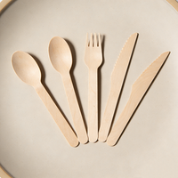 Prix bas, couverts jetables en bois de bouleau 100% biodégradables, 160 mm, ensemble de couverts en bois, cuillères, fourchettes, couteaux écologiques