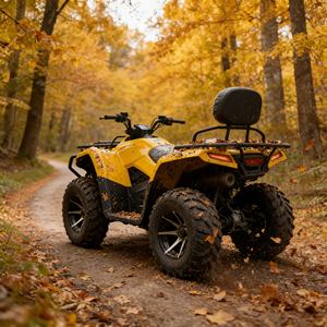 Dune Buggy d'<span class=keywords><strong>occasion</strong></span> en gros à <span class=keywords><strong>prix</strong></span> abordable, buggy 4x4 pas cher, <span class=keywords><strong>prix</strong></span> bas pour les acheteurs de seconde main - Product Image 4