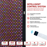 REDSKY OEM ODM Panneau de luminothérapie LED rouge à 9 longueurs d'onde, puissance élevée de 6000 W, pour tout le corps