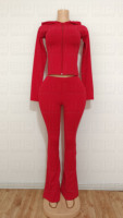 Ensemble deux pièces décontracté pour femme, avec haut à capuche zippé à manches longues et pantalon moulant brodé de couleur unie, style survêtement