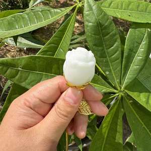 ดอกกุหลาบคริสตัลแกะสลักขนาด 3 ซม. สีเงิน ประดับคริสตัลไอน้ำ หินคริสตัลธรรมชาติบำบัด แกะสลักคริสตัลรูปดอกกุหลาบวาเลนไทน์ - Product Image 2