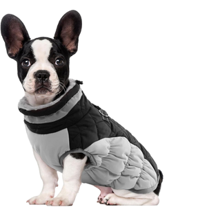 Vêtements d'hiver C076 pour chiens, résistants au vent et chauds, en coton rembourré, doublure polaire en polyester, rembourrage en duvet pour chats, protection pour Halloween - Product Image 2