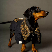 Vêtements personnalisables pour chiens, chandail réversible léger et confortable pour chiens, vêtements pour animaux de compagnie, vêtements pour petits chiens