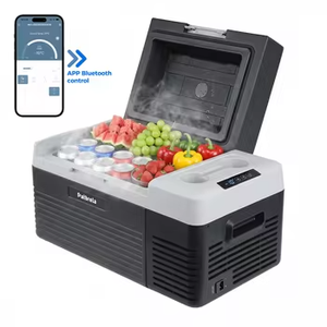 Tremendous Prices 20L Freezers 12V/24V Compressor APP Control Compressor <b>Cooler</b> Box Outdoor <b>Mini</b> Car Refrigerator - Product Image 1