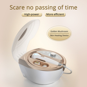 Chuyên Nghiệp Fractional <span class=keywords><strong>RF</strong></span> Tần Số Vô Tuyến Dot Matrix Trẻ Hóa Da Thắt Chặt Nâng Chăm Sóc Da Mặt Máy - Product Image 2