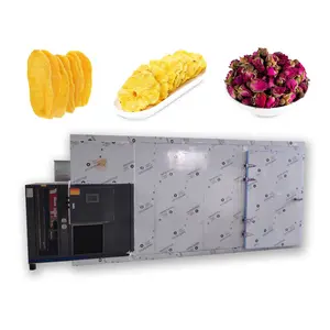 High efficient stainless steel purple sweet potato bay leaf grape raisin ginger drying machine