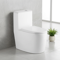 WC en céramique moderne, monobloc, double chasse d'eau, siphon en P, fermeture lente, haute qualité, sanitaire pour hôtel, salle de bain