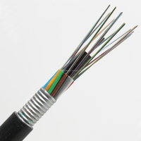 Cable de Fibra Óptica Subterráneo GYTA GYTS de 12, 24 y 48 Núcleos, G652D, Monomodo, Blindado, para Exteriores, Precio por Metro