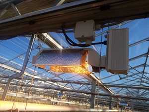 Lámpara de Cultivo para Invernadero, Regulable, 240V 277V 380V <span class=keywords><strong>HPS</strong></span> 1000W, con <span class=keywords><strong>3</strong></span> Años de Garantía - Product Image 5