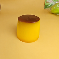 STX Pudding Squishy Maker, Blocs de construction TPR personnalisés, Jouets Squishy Qui Craque en vrac, Noël