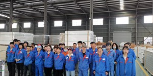 Nông Thôn Bài Và Lan Can Hàng Rào Nhựa Trang Trại Đường Sắt Hàng Rào Ngựa Trang Trại Hàng Rào - Product Image 6