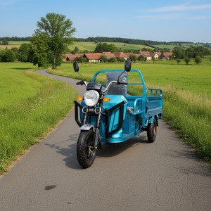 Tricycle à trois roues 1000W à prix abordable avec boîte de vitesses Beilande à 3 rapports pour un changement de vitesse fluide et polyvalent - Product Image 5