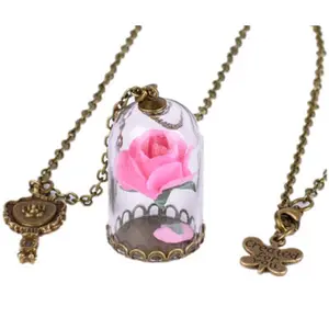 Beauty and The Beast Enchanted Rose in Terrarium and mirror charm necklace