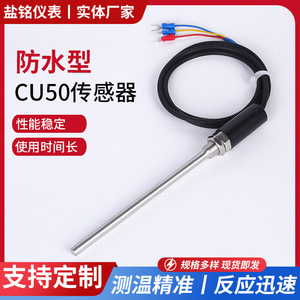 Wzp 035 Temperature Sensor Pt100 Rtd Wire Leads Industrial Measurement Waterproof Copper Resistor Three Wire Probe - Product Image 5