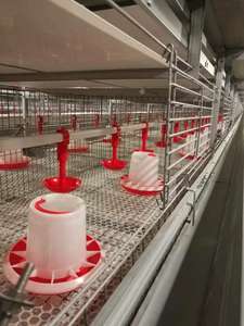 New Transparent Observation Rust-Proof Steel H-Type <b>Chicken</b> Broiler <b>Cages</b> 5 Year Warranty Easy Operation for Suburban Hobby - Product Image 6