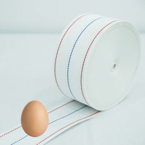 Polypropyleen Ei Transportband 10X20Cm Voor Legkippen Boerderijen Automatische Opvanggordel Fabriek Direct - Product Image 6