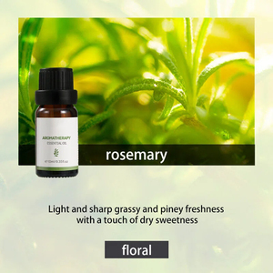ชุดน้ำมันหอมระเหยบริสุทธิ์ 100% เกรด A สำหรับอโรมาเธอราพี ขนาด 10 มล. กลิ่นลาเวนเดอร์ ฟรีชแอร์ กลิ่นดอกไม้ สำหรับกระจายกลิ่นและบำรุงผิวกาย - Product Image 1