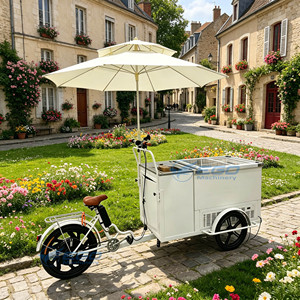 Fast Food Cart Outdoor Vending Cart Mobile Food Snack Cart for Street Ice Cream Snack Car Food Cart for Sale - Product Image 4