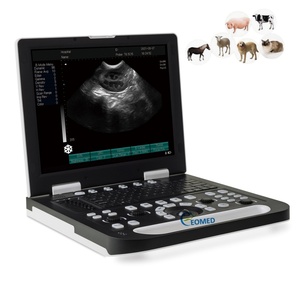 Échographe vétérinaire à imagerie HD pour animaux de grande taille, test de gestation pour bovins et chameaux, vente directe, calcul rapide BW22vet - Product Image 1