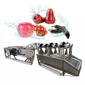 Beste Kwaliteit Hoge Productiecapaciteit Bubble Water Fruit Wasmachine Fruit En Groente Waslijn