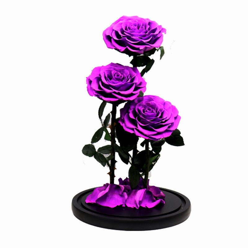 เจ้าชายใหญ่3สีม่วงแดง