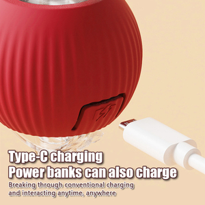 1PC sạc điện vật nuôi tương tác đồ chơi thông minh Mèo đào tạo bắt chước Chuột Đuôi Phong cách cổ điển làm bằng bền Silicone - Product Image 4