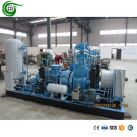 15KW NH3 petit compresseur de gaz moteur de lubrification sans huile économie d'énergie compresseur à piston d'ammoniac haute industrie rentable