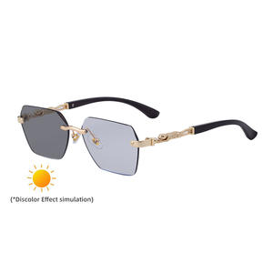 Lunettes de soleil photochromiques Polo Haus pour homme, protection UV400, verres PC classe 2, monture noire, branches dorées-blanches à gris - Product Image 5
