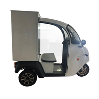 Everbright Pérou Russie Maroc Moto Cargo Électrique à Cabine Fermée à Trois Roues 800W 30-50Km/h 60V Certifiée CE