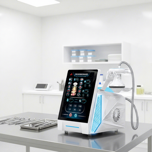 उच्च तीव्रता केंद्रित दर्द राहत चिकित्सीय स्पंदित चिकित्सा गहरी ऊतक फोकस चिकित्सा ध्वनिक शॉक वेव मेडिकल मशीन - Product Image 1