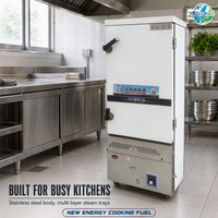 WANHENG Nouvel Équipement de Cuisine Professionnel à Énergie Renouvelable en Acier Inoxydable 304 Épaissi, Chauffage par Convection Entièrement Automatique à 12 Niveaux