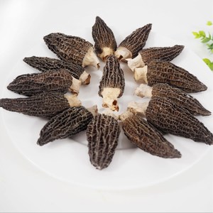 Funghi Morchella Esculenta Essiccati di Alta Qualità in Offerta - Product Image 3