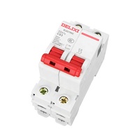 DELIXI Mcb Double Pôle 63A 100A Marque Chinoise Delixi Meilleure Qualité Chinoise Disjoncteur Miniature Monophasé DP DELIXI