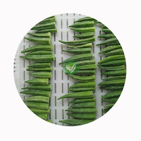Okra surgelée de qualité supérieure XMSD, coupée, qualité export, pour la restauration, vente en gros, certifiée HACCP et BRC, approvisionnement OEM