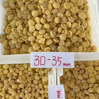 Champignons de haute qualité en gros, frais et conservés dans de la saumure, en fûts plastiques pour l'approvisionnement de l'industrie alimentaire