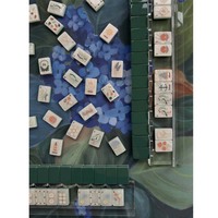 Set Permainan Mahjong Mewah 160 Pcs, Ubin Mahjong Amerika Bergambar Karang, Bintang Laut, Bangau, Dilukis Tangan, 3 Lapis Akrilik