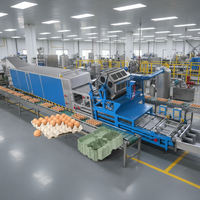 Ligne de production automatisée de machines de moulage de barquettes à œufs fiables et à haut rendement