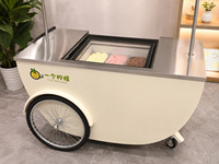 Chariot de présentation mobile pliable en acier inoxydable pour glaces et snacks, avec auvent, idéal pour événements extérieurs – Vente directe usine