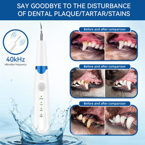 कुत्ते के पालतू जानवरों के लिए अल्ट्रासोनिक इलेक्ट्रिक डेंटल स्केलर स्टेनलेस स्टील दांतों की सफाई मशीन मौखिक देखभाल किट टार्टर स्केल हटाने पट्टिका - Product Image 4