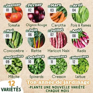 VegetableKits - Mix Pronto da Piantare - 12 Deliziose Varietà di Ortaggi Biologici - Terra <span class=keywords><strong>per</strong></span> Giardino e Vasi - Product Image 2