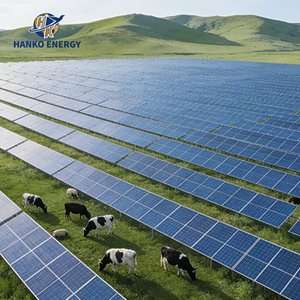 Professional Ground Solar Frame for High Load Capacity Applications Pastoral PV Complementary Mounting System - Product Image 1
