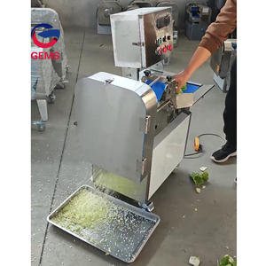 Tritatutto per verdure elettrico industriale - Product Image 3