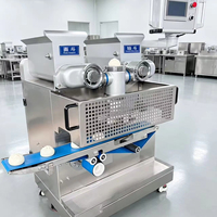 Machine à enrober les mochi automatique haute capacité, ligne d'enrobage industrielle commerciale pour la fabrication de biscuits, la production de bonbons et les produits céréaliers