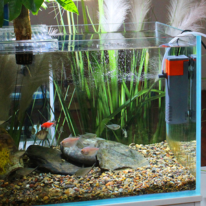 Xilong Umweltfreundlicher Langlebiger Kunststoff-Aquariumfilter Tauchfähige Ultra-Leise Wasserpumpe 25W <span class=keywords><strong>Aquarium</strong></span>-Dekoration - Product Image 6