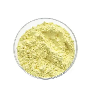 Free Sample 99% Powder Thioctic Acid Alpha Lipoic Acid CAS 62-46-4