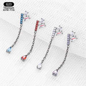 G23 Titanium Drop <b>Earrings</b> 25mm <b>Tassel</b> Teardrop Shape Zircon Set Chain Everyday Wear - Product Image 2
