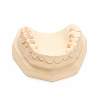 Modèle de couronne dentaire en zircone usinée avec précision pour la formation en laboratoire et la clinique, pour l'affichage, marque Ecolab, certifié ISO 9001