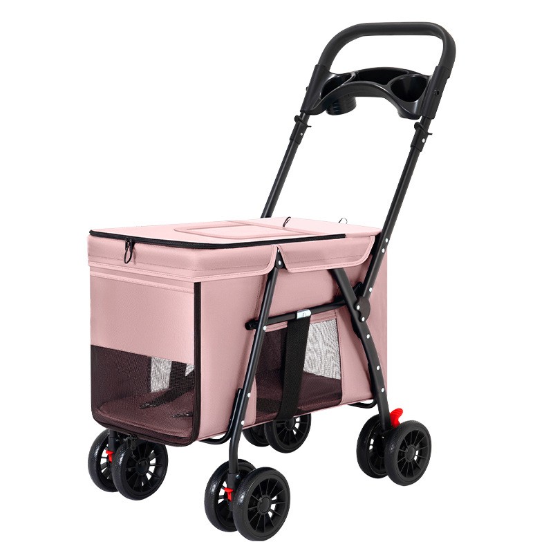 Rosa SY 688