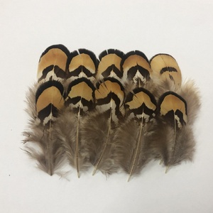 Plumes de faisan lavées en gros pour la fabrication artisanale, matériaux de décoration pour la pêche à la mouche, les coiffes de carnaval, les corsages et les chapeaux - Product Image 3
